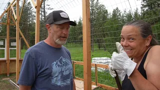 Double Wide Cattle Panel Greenhouse Build | Part 2
