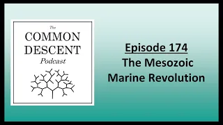 Episode 174 - The Mesozoic Marine Revolution