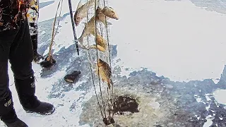 ЗИМНЯЯ РЫБАЛКА на ХАПУГА ХЛОПОК c Fisherman DV. 27 RUS поймали ЗМЕЕГОЛОВА