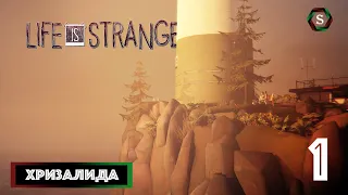 Прохождение Life is Strange - Эпизод 1 — «Chrysalis» («Хризалида») [Запись стрима]