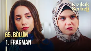 ​Kızılcık Şerbeti 65. Bölüm 1. Fragman |  "Avcuma düştü bir kere..."