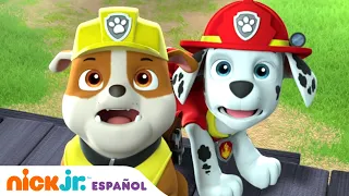 Paw Patrol, Patrulla de cachorros | ¡Los cachorros salvan el Día de la Amistad! | Nick Jr.