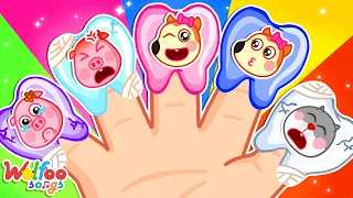 Finger Family (Baby Teeth version) 👶 Baby's First Teeth Song 🎶 Wolfoo Nursery Rhymes & Kids Songs