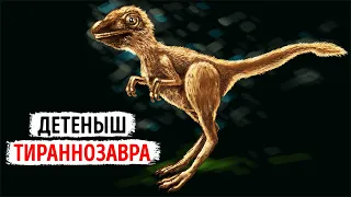 Детеныш тираннозавра совсем не походил на динозавра, которого мы привыкли видеть в кино