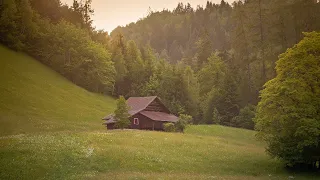 E pash Vjehrren teksa q ihej me nje tjeter pastaj i tregova Vjehrrit