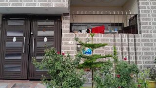 House for sale Rudrapur Uttarakhand 7456820167