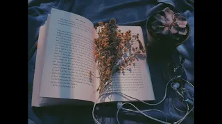 Alec Benjamin- The Book of You and I (slowed+reverb)