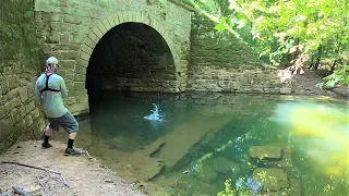 CREEK Fishing in a TUNNEL for ANYTHING That Will Bite