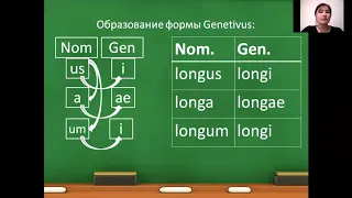 согласование прилагательного с существительным