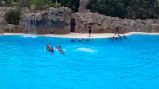 Loro Parque, Tenerife Part 2/Лоро Парк Тенерифе, часть 2