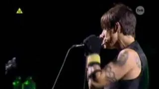 This Velvet Glove Live-Red Hot Chili Peppers(Poland)