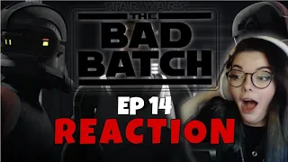 AM I EXCITED? SCARED? BOTH! - The Bad Batch Ep 14- REACTION!