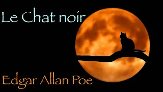 Livre audio : Le Chat noir, Edgar Allan Poe