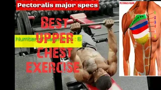 Best upper chest exercise