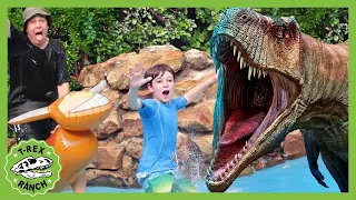 Dinosaur at the Pool with Baby T-Rex | T-Rex Ranch Dinosaur Videos