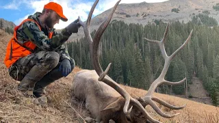 Giant Colorado Backcountry Bull Elk | S5E02 | Limitless Outdoors