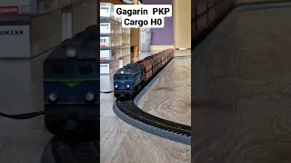Gagarin ST44-1231 PKP Cargo H0