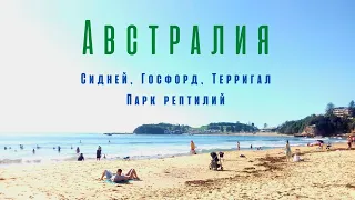 Австралия 2017. Сидней-Госфрд-Терригал. Парк рептилий. Пляжи.