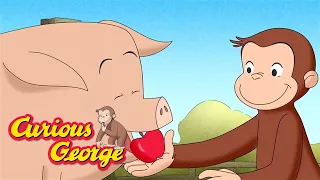 George, the Hog Trainer 🐵 Curious George 🐵 Kids Cartoon 🐵 Kids Movies