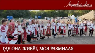 Где она живёт, моя размилая (Лазоревый цвет)