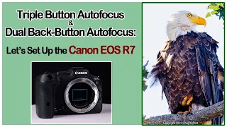 Let's Set Up the Canon EOS R7 for Triple Button Autofocus and Dual Back Button Autofocus