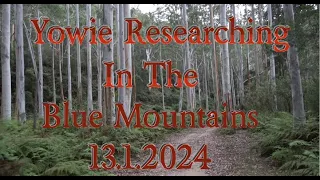 Yowie Researching in the Blue Mountains 13 1 2024