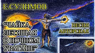 ЧАЙКА, ЛЕТЯЩАЯ В НОЧНОМ УРАГАНЕ - Е.СУЛИМОВ (моя авторская песня)