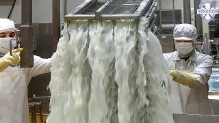 Overwhelming! Korean Cheese Mass Production Factory