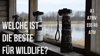 Welche Kamera ist die beste für die Wildlife-Fotografie? Im Test die Sony A1, A7RIV, A7IV und Eos R5