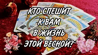 Онлайн расклад. Таро. КТО СПЕШИТ К ВАМ В ЖИЗНЬ ЭТОЙ ВЕСНОЙ? МУЖЧИНА НА ПОРОГЕ