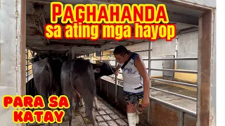 PAGHAHANDA SA ATING MGA HAYOP PARA SA KATAY | SOLLE'S GANDANG BUHAY