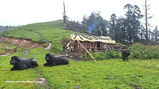 Nepali Mountain Village Life | Best Compilation Video in Rainy Season | Living With Beauty Nature |