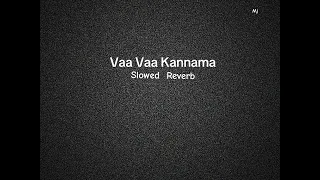 Vaa Vaa Kannama - slowed reverb