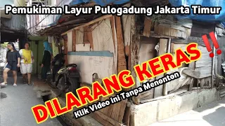 Banyak Rumah Kayu Disini ‼️Pemukiman Padat Layur Pulo Gadung Jakarta Timur