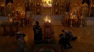 HVC 2024-04-10 Presenctified Liturgy Вечерняя Литургия Преждеосвященных Даров