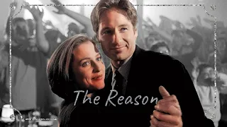 The Reason ~ The ✘ Files (Mulder and Scully)