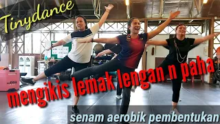 Senam Pembentukan mengikis lemak lengan & paha | Senam mengecilkan tangan dan kaki | Tinydance