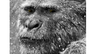 BIGFOOT RESEARCH IN THE SOVIET UNION AND MODERN RUSSIA (PART 2)