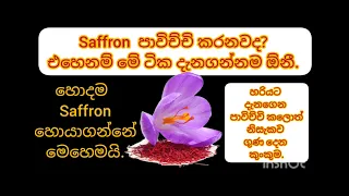 හොදම Saffron හදුනාගන්නේ මෙහෙමයි. Real Saffron and Fake Saffron