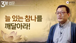 [3분 법문] 늘 있는 참나를 깨달아라!