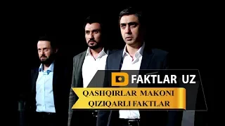 Qashqirlar makoni siz bilmagan faktlar