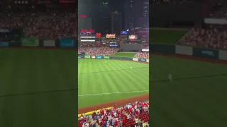Final Out Of Cubs @ Cardinals (July 19, 2021)