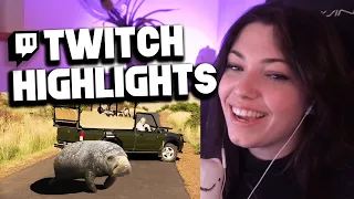 REVED BEST OF! 😂 Twitch Highlights #02