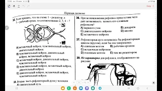 ДИМ/Сборник по биологии 2021/Рефлекс -  основной принцип работы нервной системы/