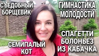 Как избавиться от второго подбородка и колец на шее / На ДАЧЕ гуляю, готовлю, работаю