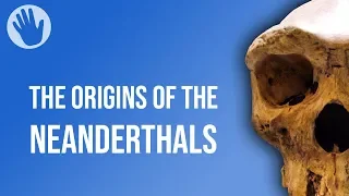 The Origins of the Neanderthals