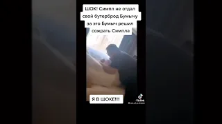 Бумыч сожрал симпла