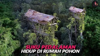 Korowai, Suku Yang Tinggal di Atas Pohon Hutan Belantara Papua