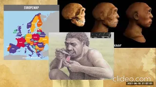 Homínidos y Evolución del Cerebro