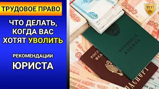 ЧТО ДЕЛАТЬ, когда вас хотят УВОЛИТЬ! Незаконное увольнение по собственному желанию. Трудовое право